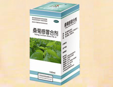桑菊感冒合剂