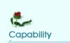 Capability