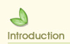 Introduction