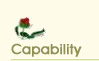 Capability