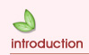 Introduction