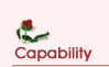 Capability